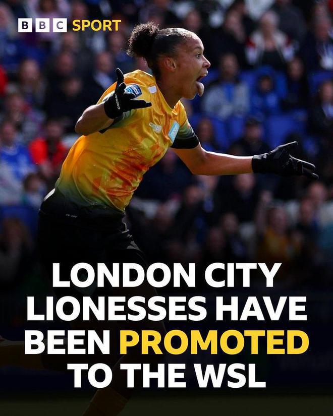 的综合表现 的综合表现