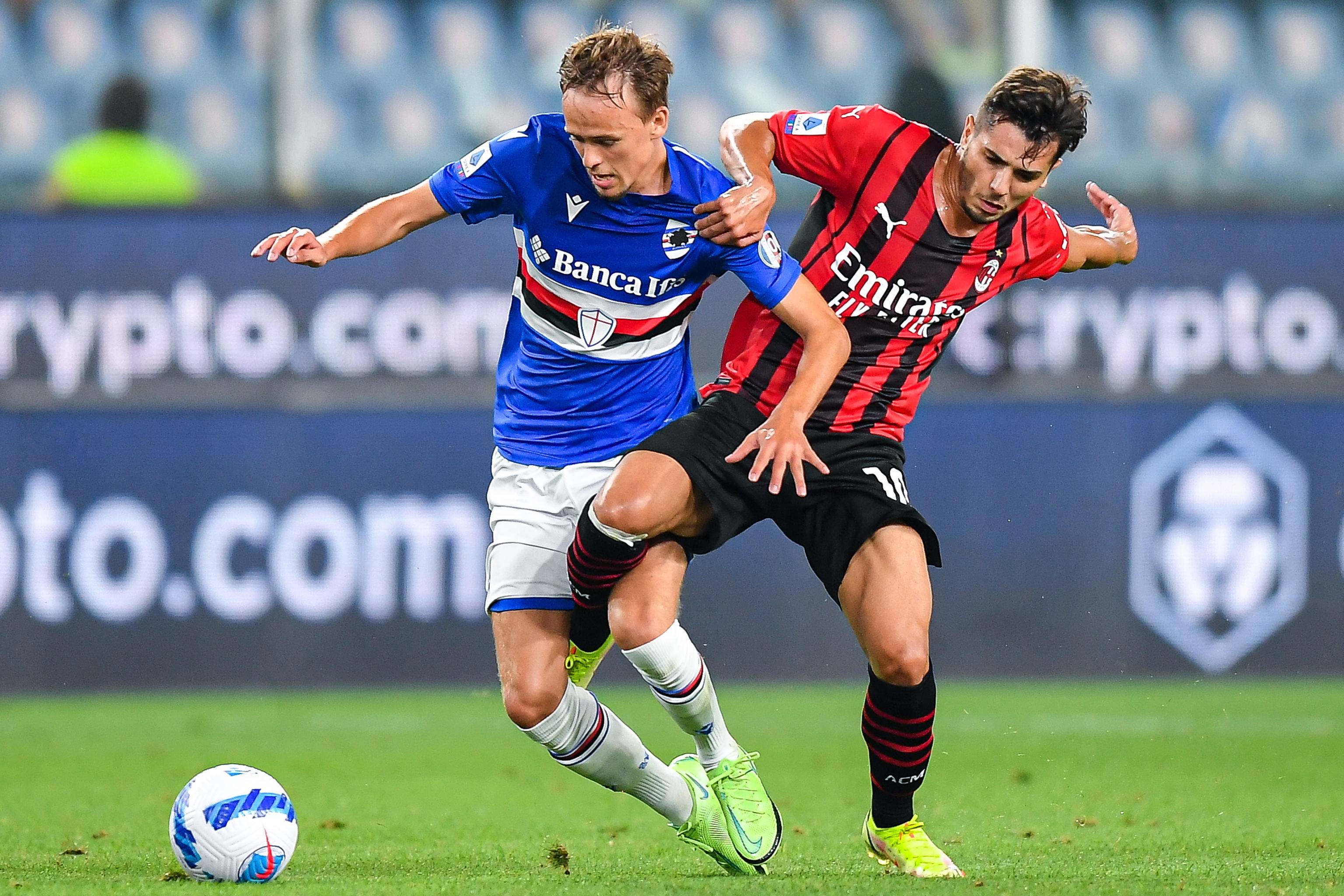 诺排出了 诺排出了